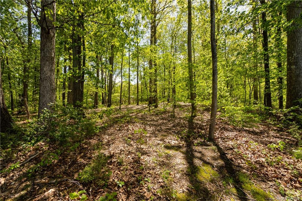 1609 Privette Road Matthews, NC 28105 - Photo 42 of 46 Gallery Image 42