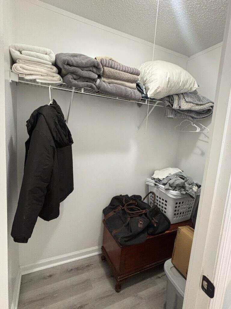 155 Grapevine Road Summerville, SC 29483 - Photo 14 of 18 Closet