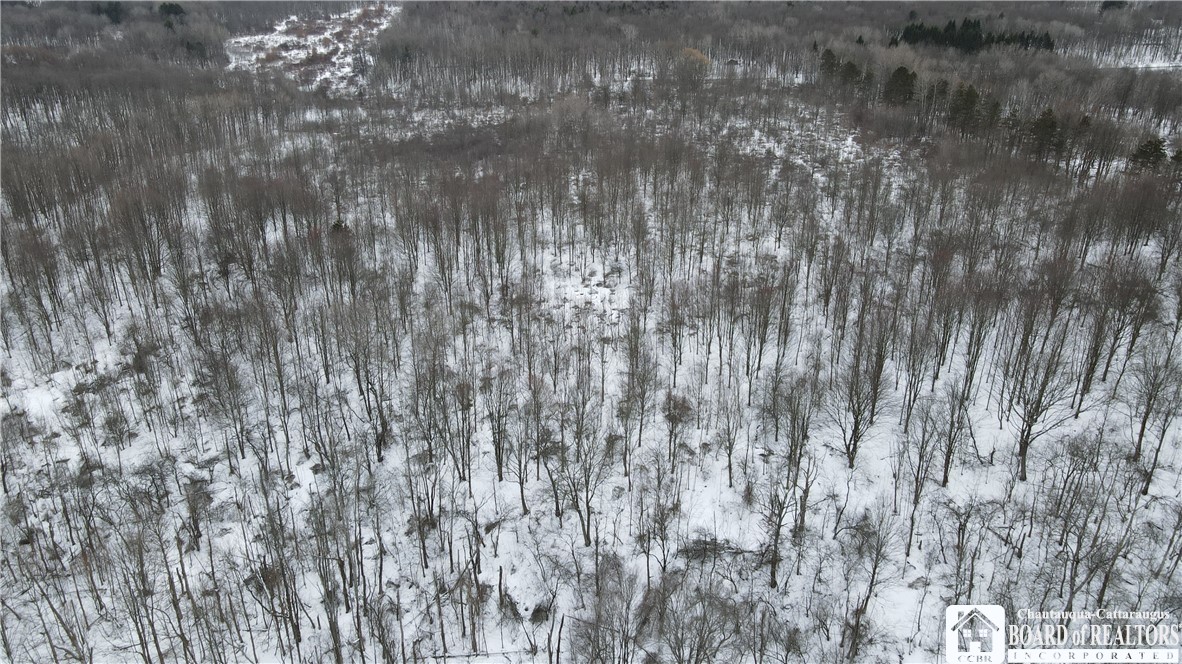 0 Condin Road North Bemus Point, NY 14712 - Photo 12 of 16