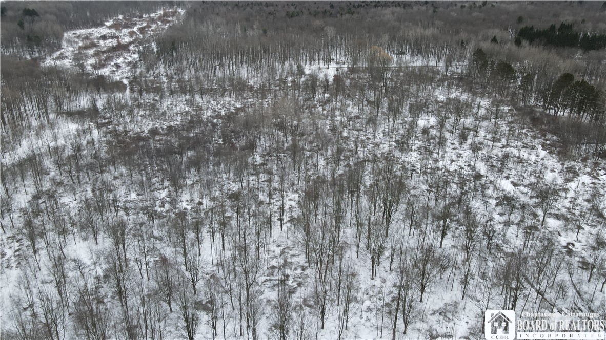 0 Condin Road North Bemus Point, NY 14712 - Photo 14 of 16