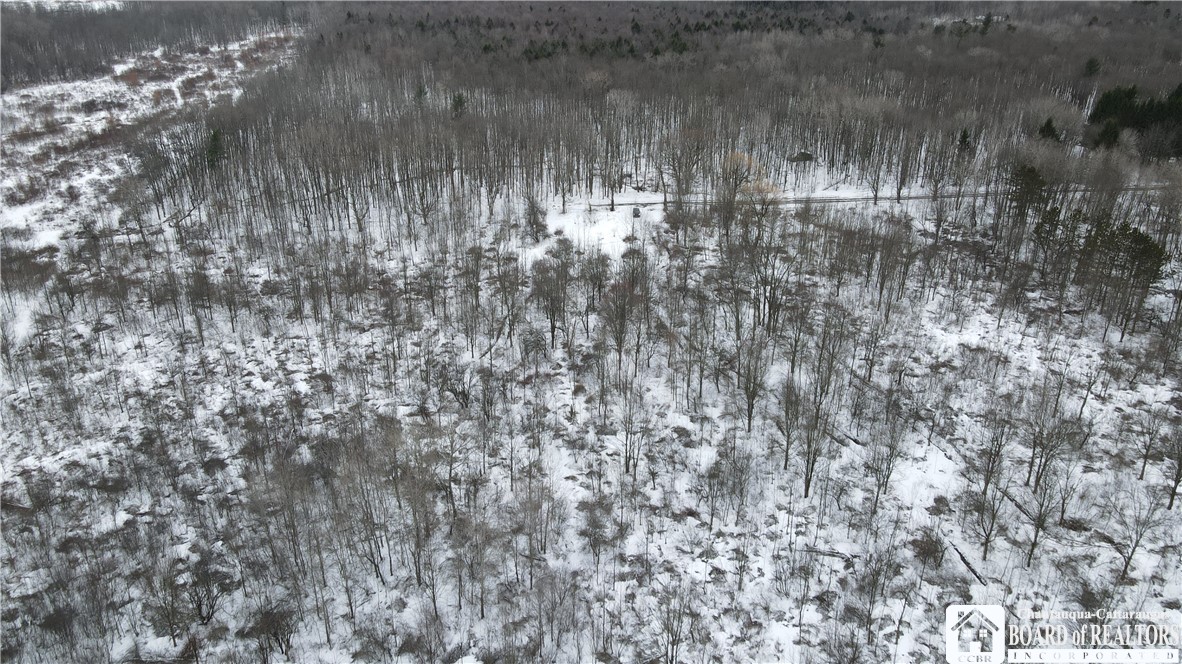 0 Condin Road North Bemus Point, NY 14712 - Photo 15 of 16