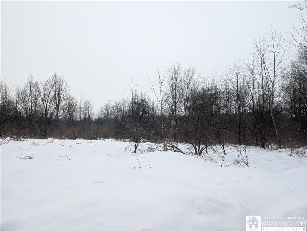 0 Condin Road North Bemus Point, NY 14712 - Photo 16 of 16