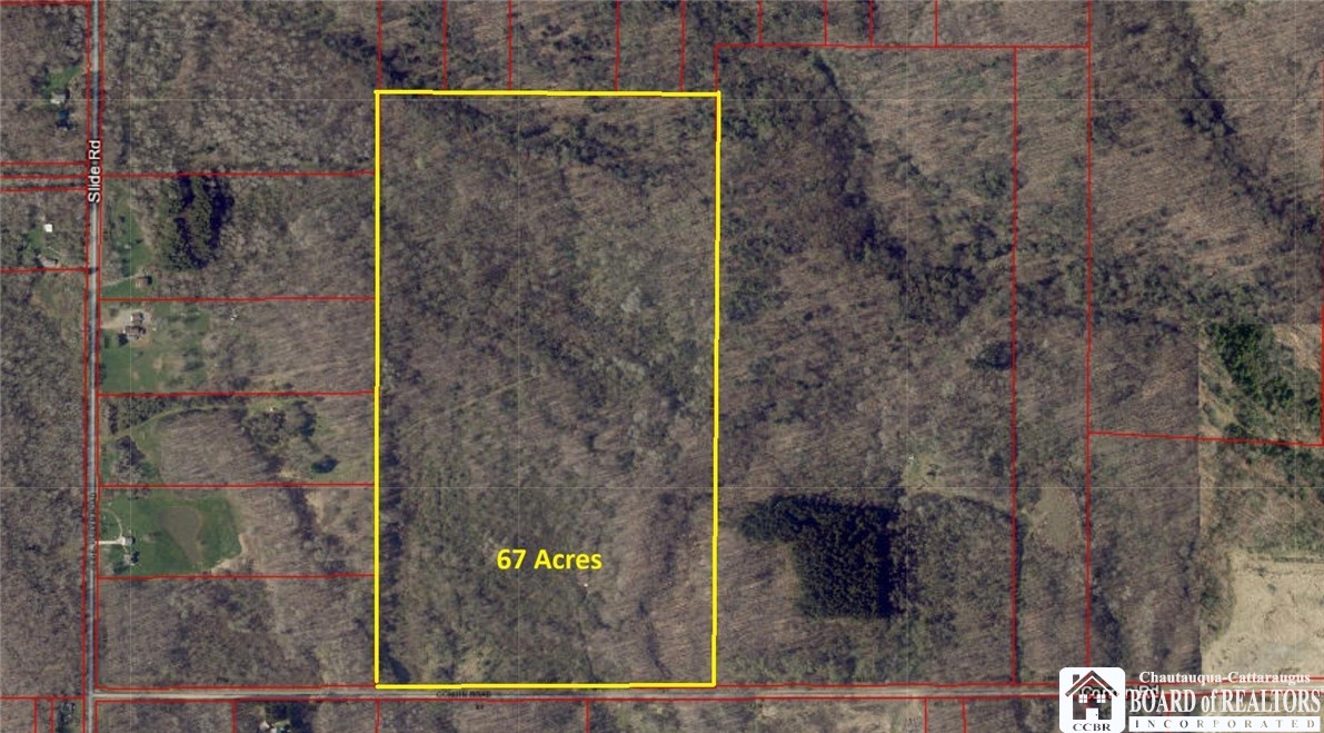 0 Condin Road North Bemus Point, NY 14712 - Photo 2 of 16