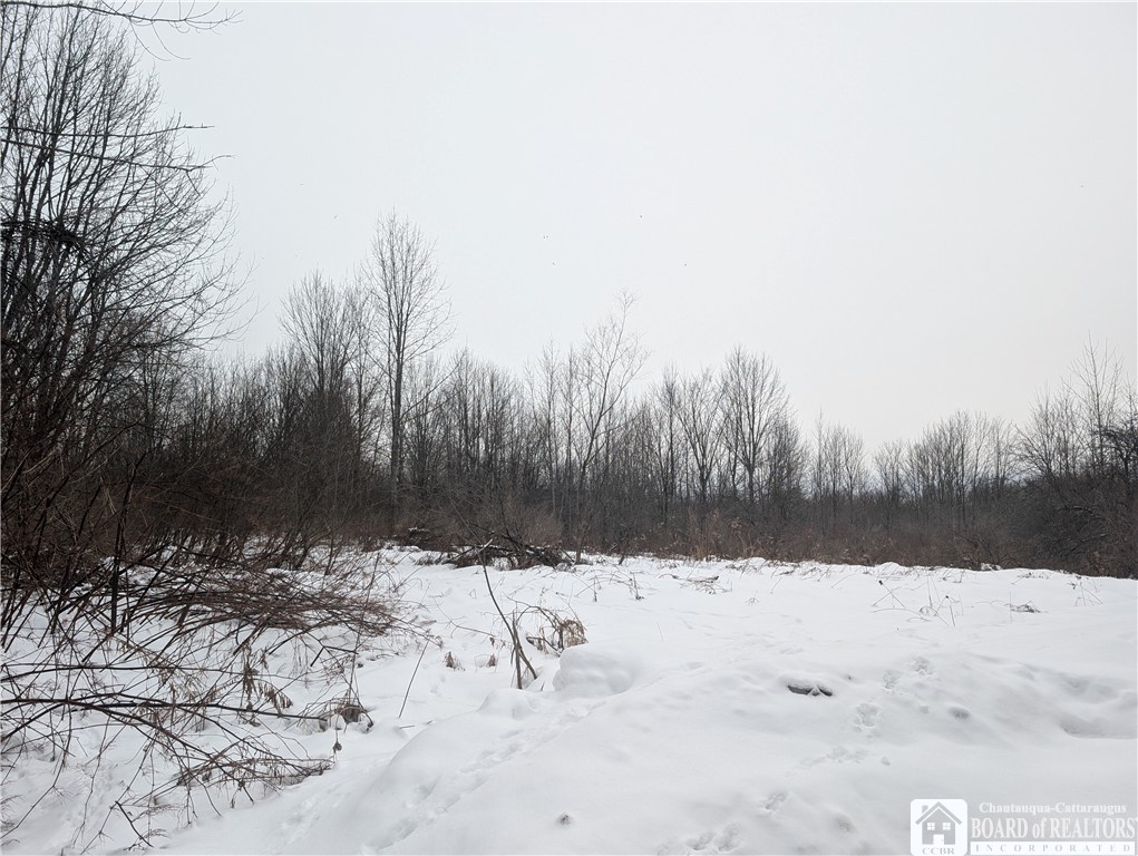0 Condin Road North Bemus Point, NY 14712 - Photo 3 of 16 Cleared area near driveway