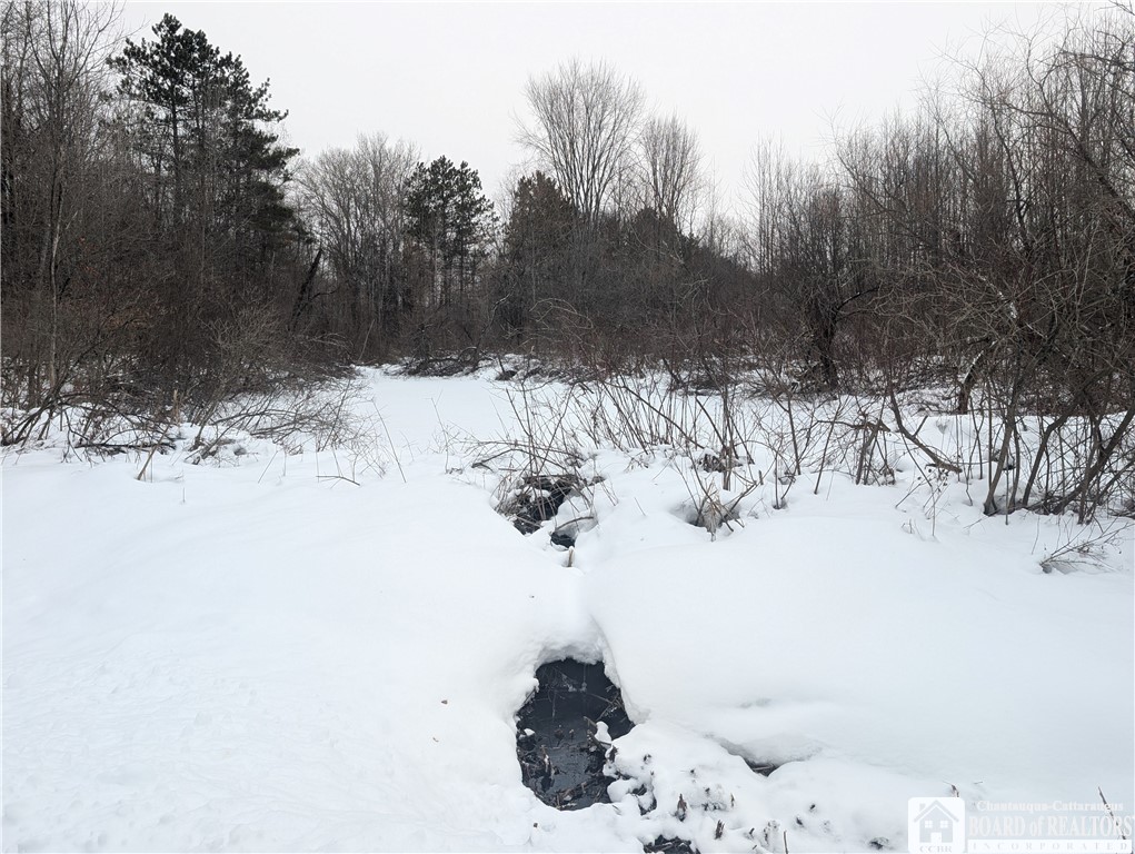 0 Condin Road North Bemus Point, NY 14712 - Photo 4 of 16 Pond here near road.