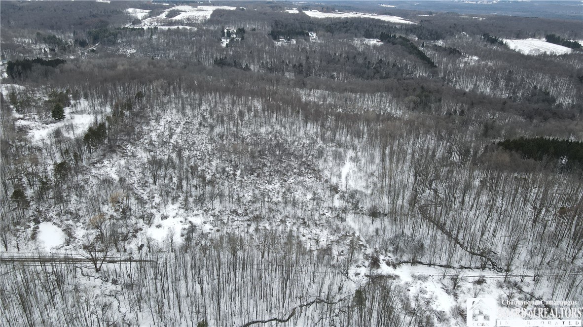 0 Condin Road North Bemus Point, NY 14712 - Photo 5 of 16