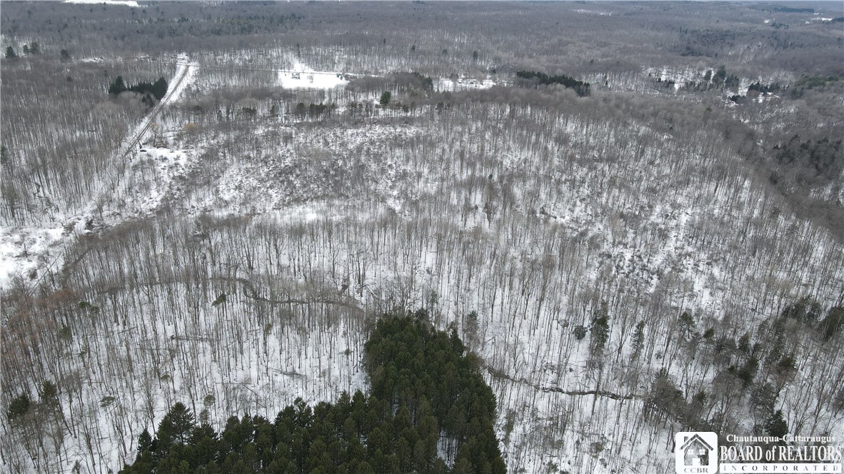 0 Condin Road North Bemus Point, NY 14712 - Photo 6 of 16 From East