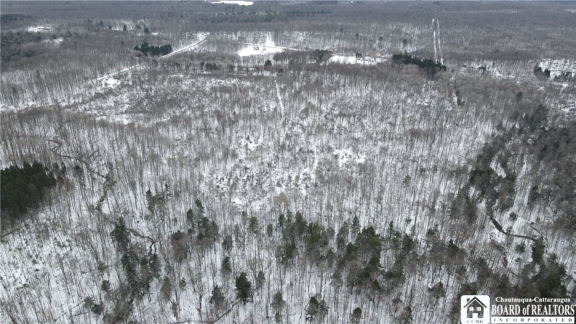 0 Condin Road North Bemus Point, NY 14712 - Photo 7 of 16