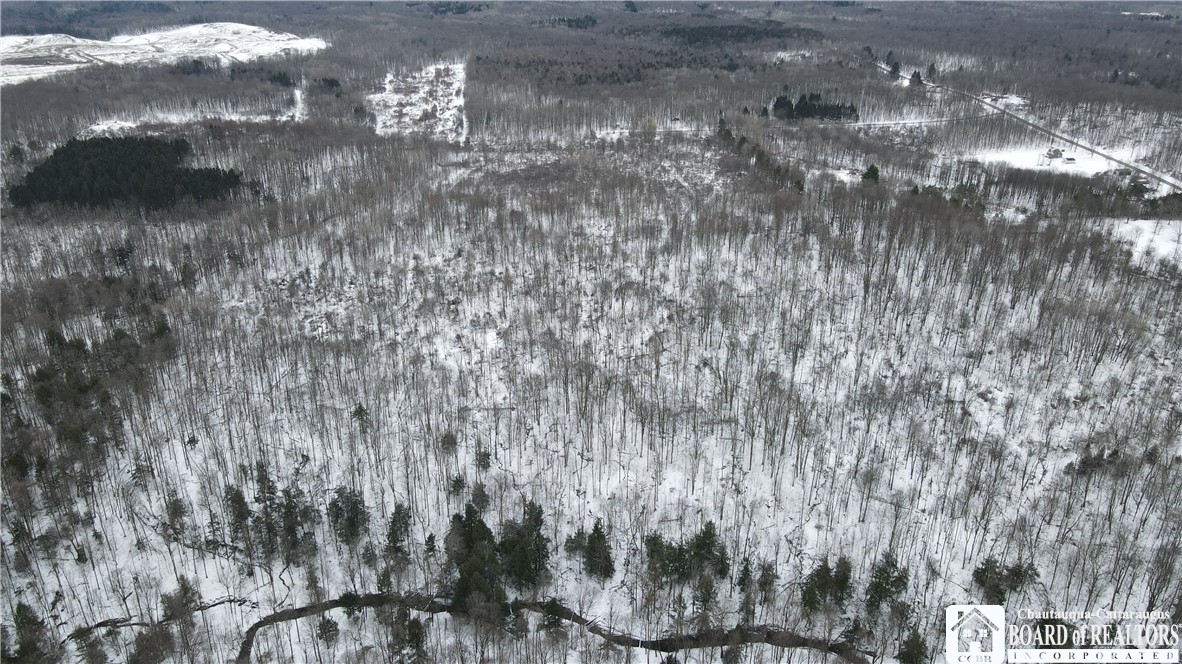 0 Condin Road North Bemus Point, NY 14712 - Photo 8 of 16 From Rear