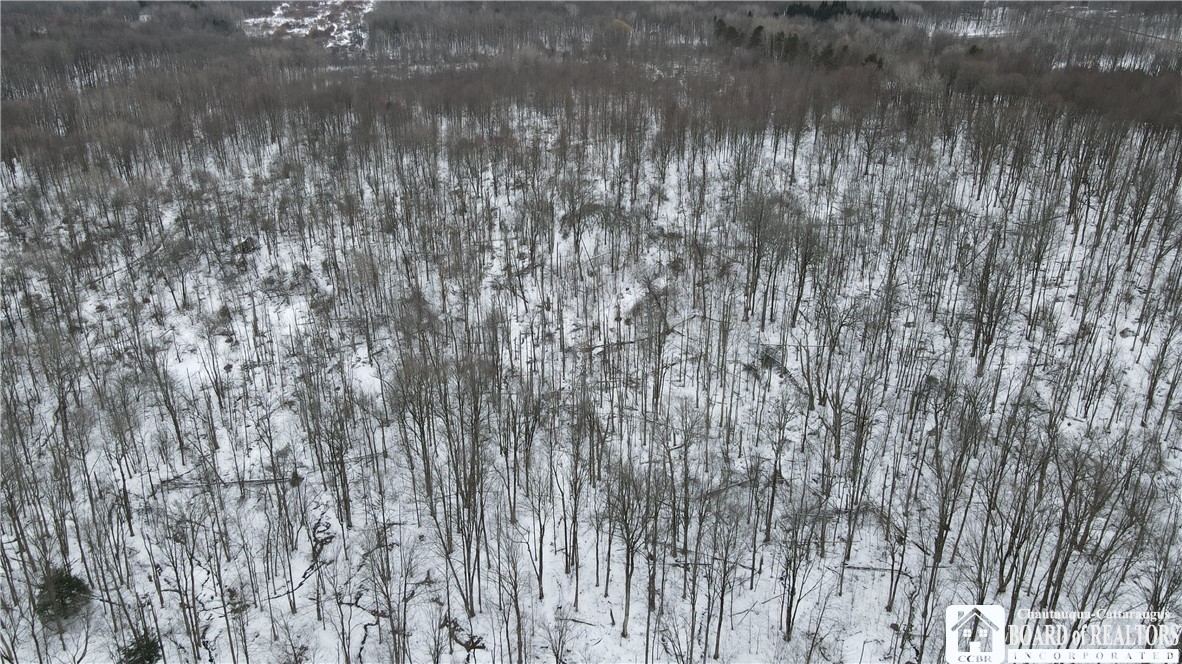 0 Condin Road North Bemus Point, NY 14712 - Photo 9 of 16