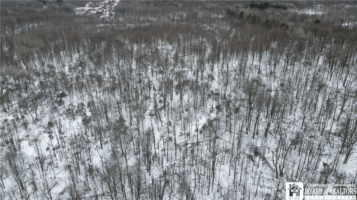 0 Condin Road North Bemus Point, NY 14712 - Photo 10 of 16