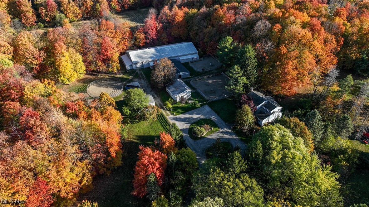 30875 Cannon Road Solon, OH 44139 - Photo 3 of 48 Aerial overview of property's location featuring a heavily wooded area