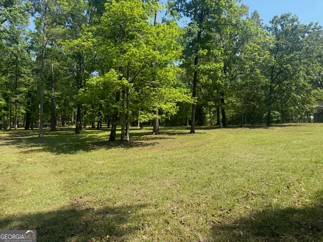 $479,750 | 164 Griffith Drive, Fort Gaines, GA 39851