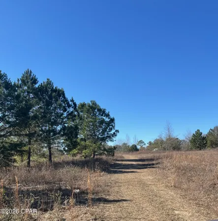 $90,000 | 2889 Salem Church Road, Sneads, FL 32460
