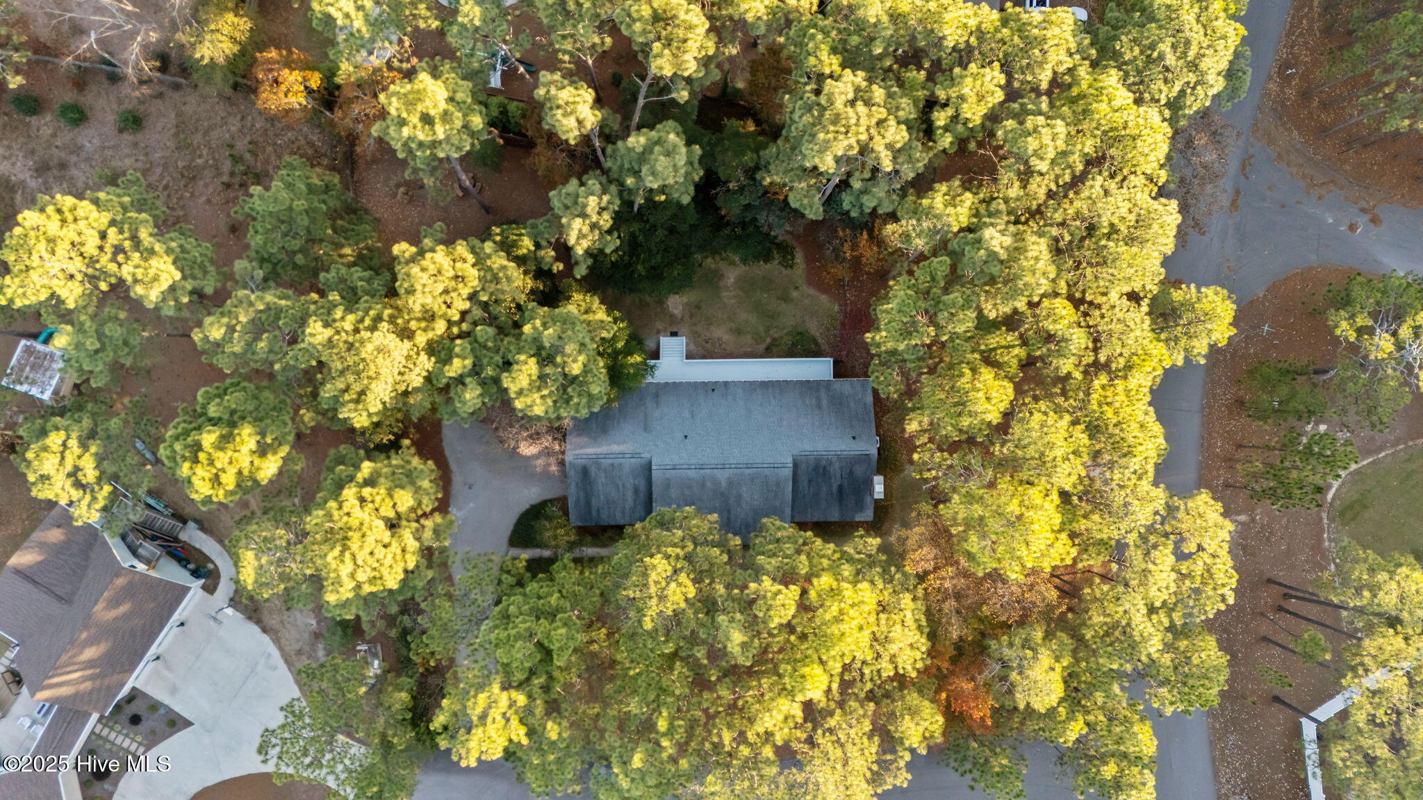 150 Pebble Beach Place Southern Pines, NC 28387 - Photo 25 of 55 Drone over house