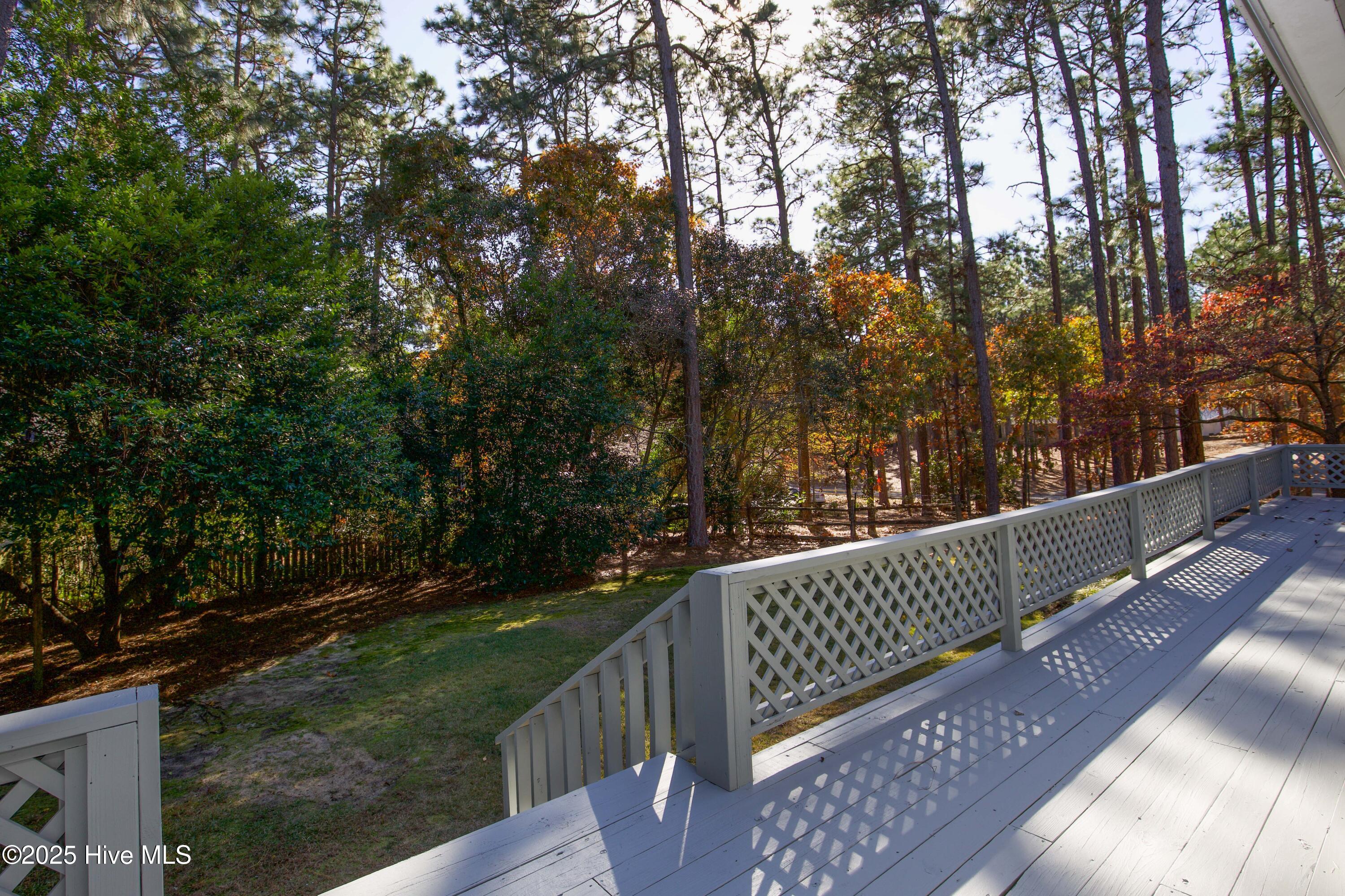 150 Pebble Beach Place Southern Pines, NC 28387 - Photo 31 of 55 View of backyard