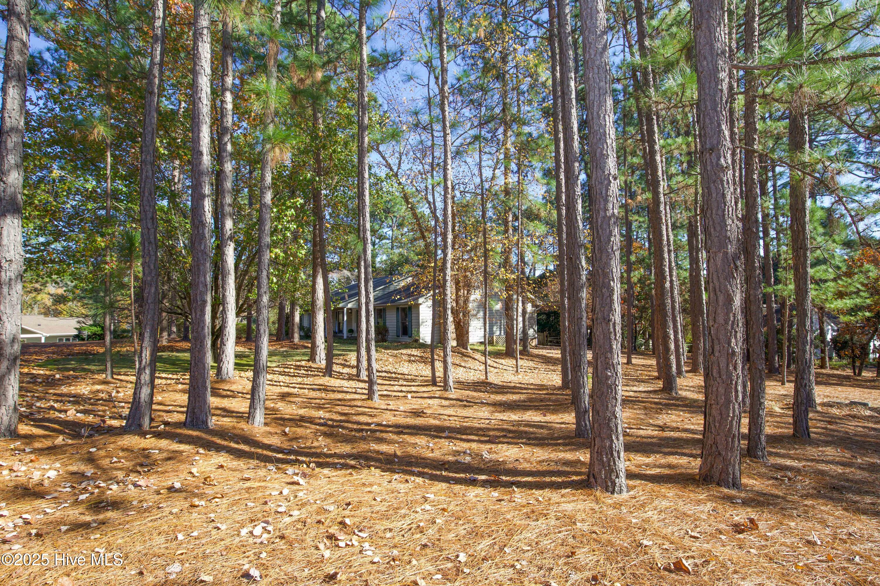 150 Pebble Beach Place Southern Pines, NC 28387 - Photo 33 of 55 Corner lot with large side yard