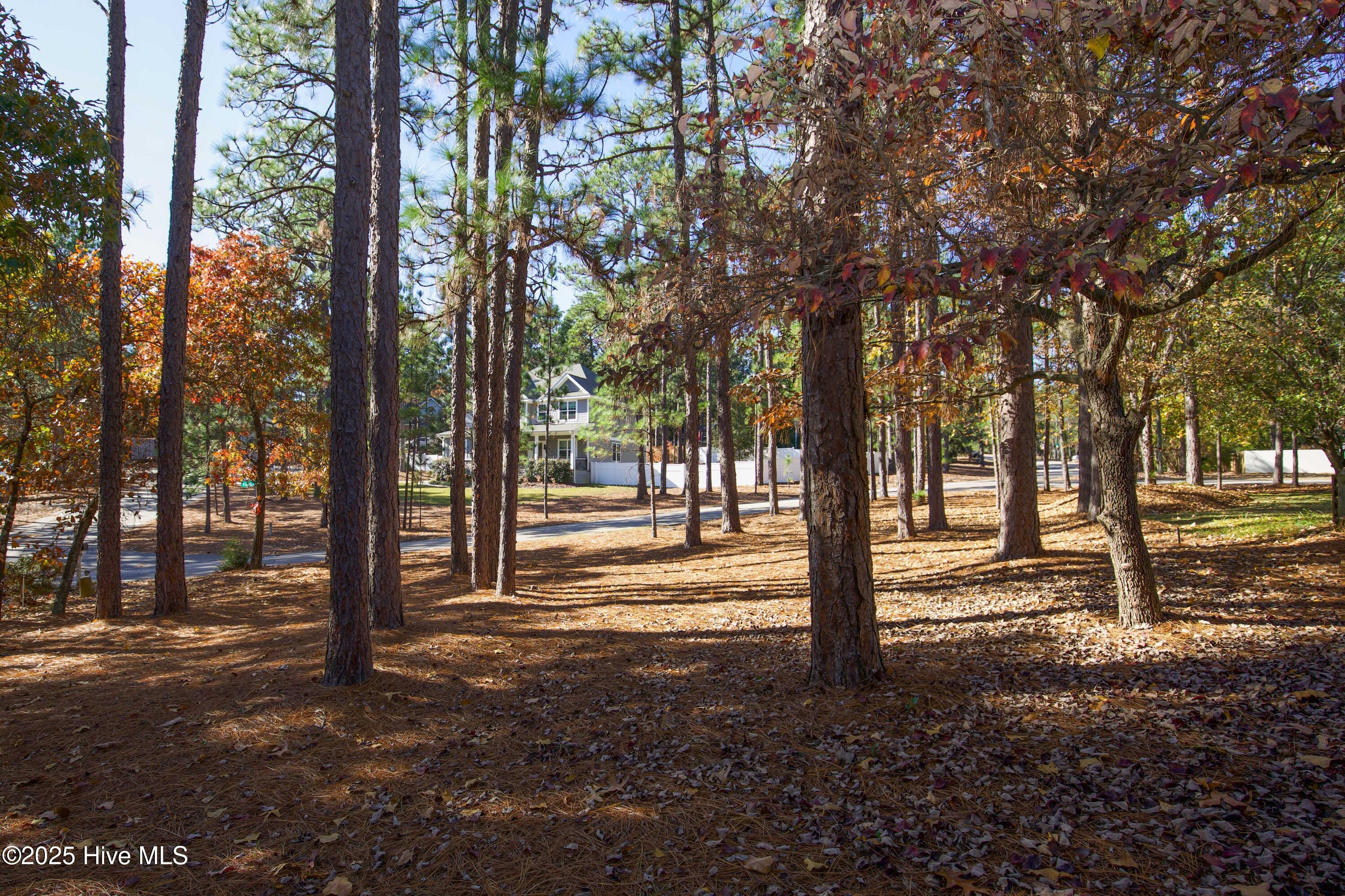 150 Pebble Beach Place Southern Pines, NC 28387 - Photo 46 of 55 Quiet front yard