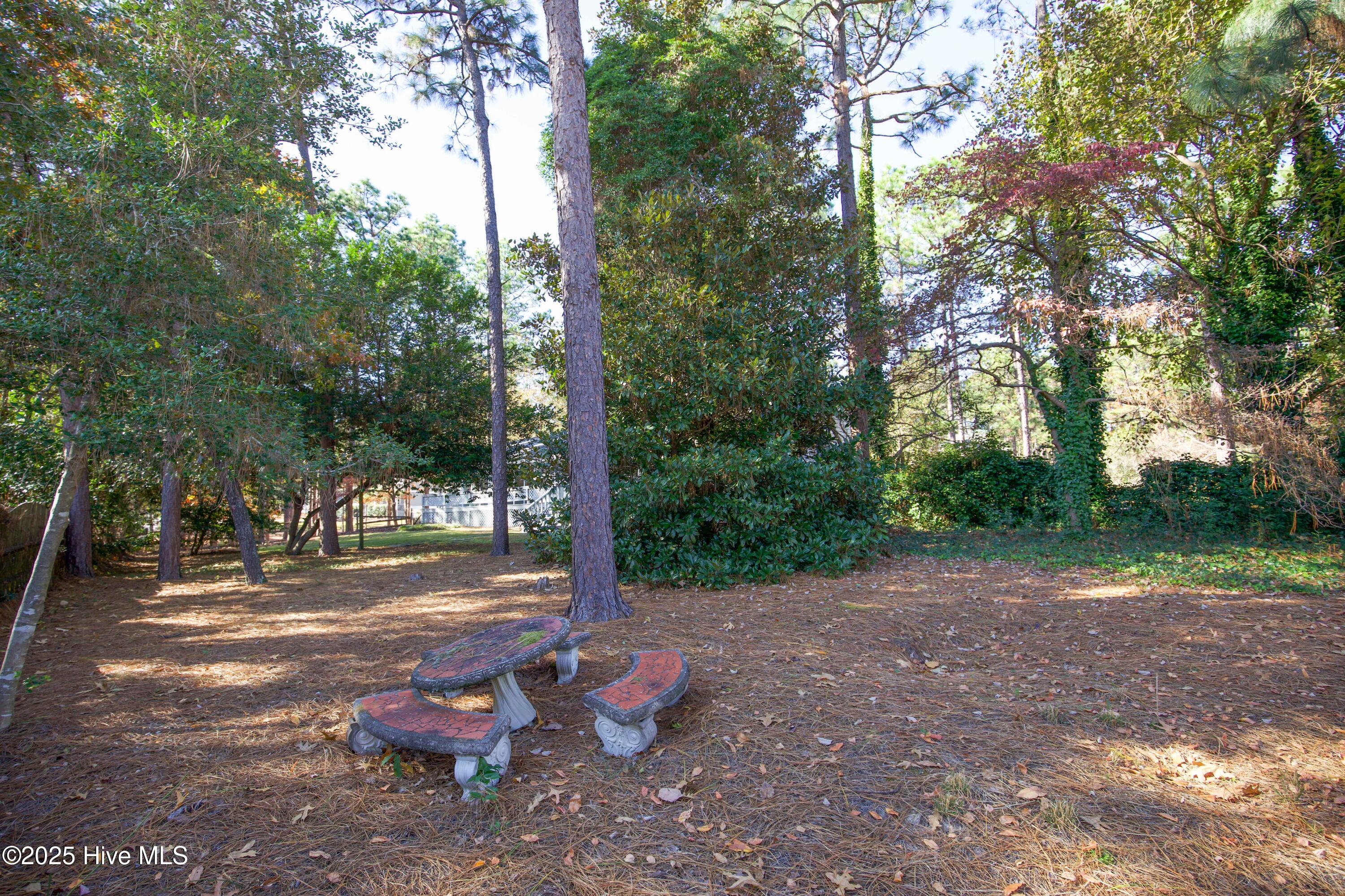 150 Pebble Beach Place Southern Pines, NC 28387 - Photo 47 of 55 Backyard on garage side