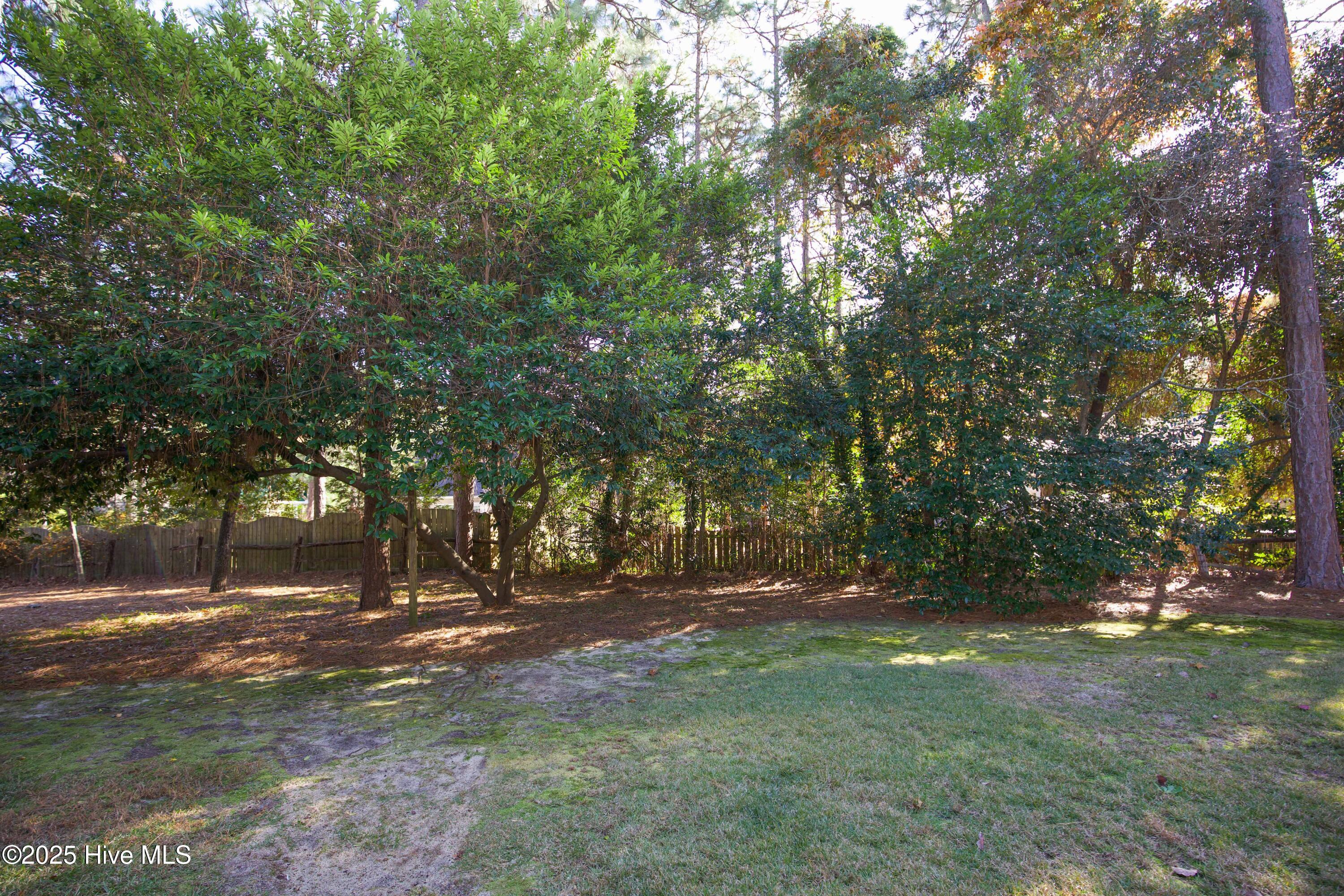 150 Pebble Beach Place Southern Pines, NC 28387 - Photo 48 of 55 Backyard