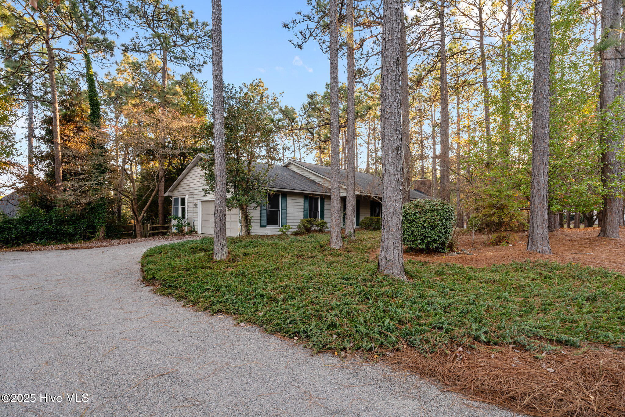 150 Pebble Beach Place Southern Pines, NC 28387 - Photo 5 of 55 Side entry garage