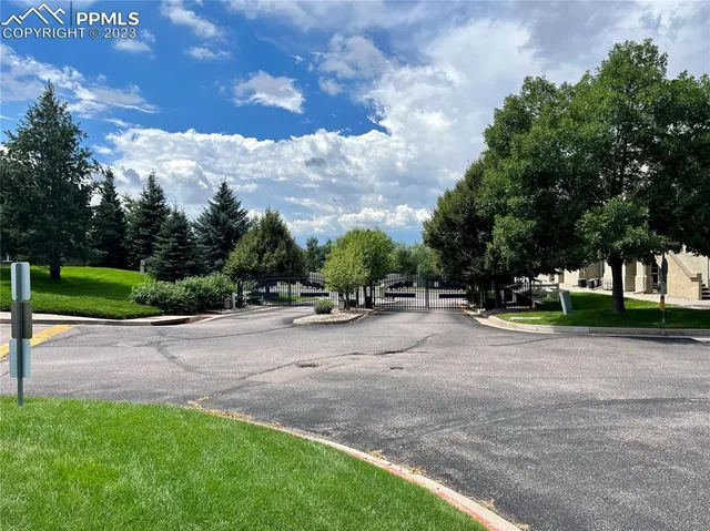 a view of a park with plants and trees