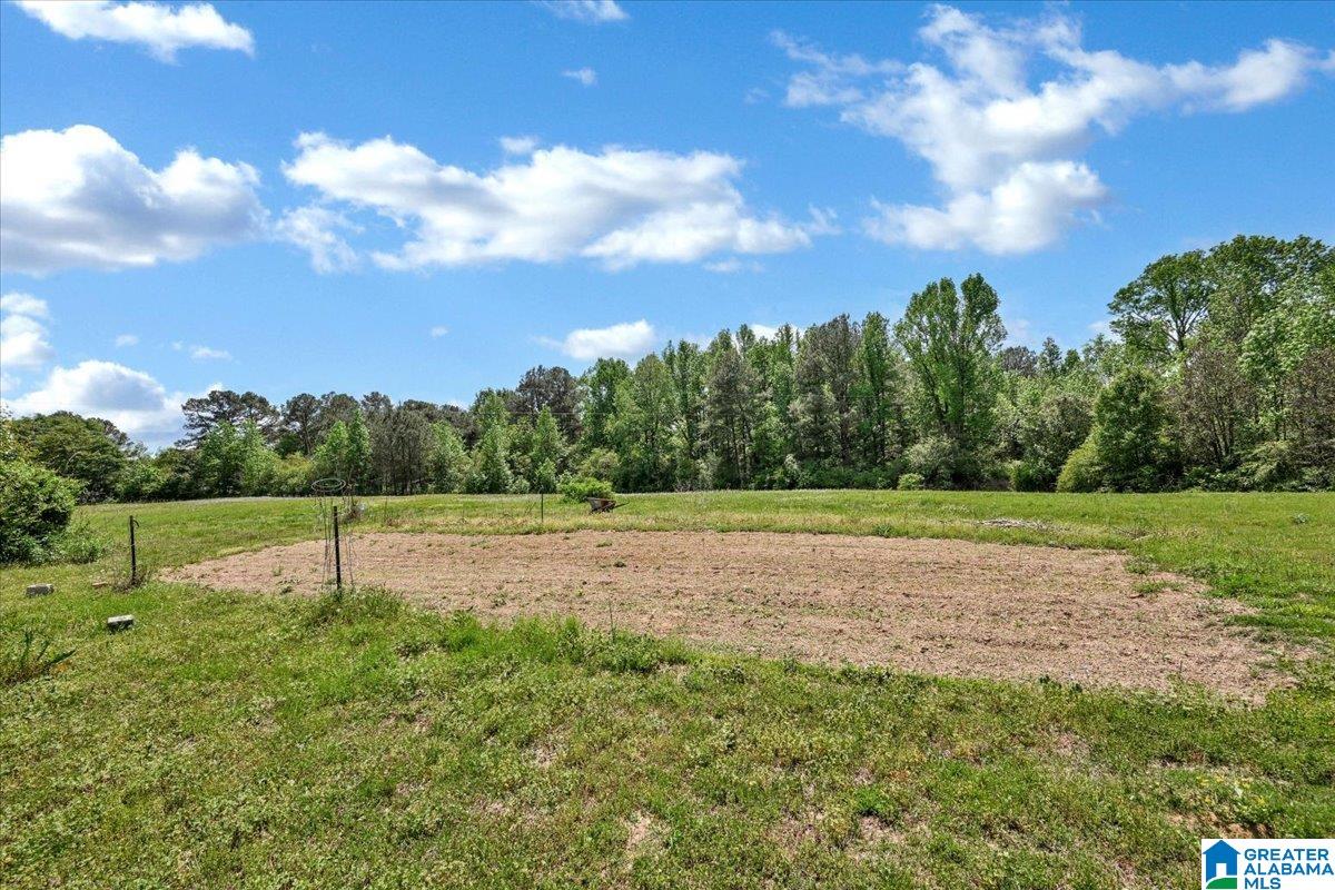 888 County Road 1663 Cullman, AL 35058 - Photo 15 of 20