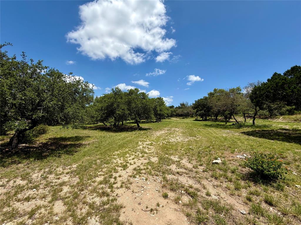 0 Sundance Ridge Drive Dripping Springs, TX 78620 - Photo 10 of 38 Gallery Image 10