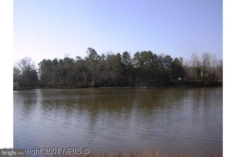 6702 Oxford Road Easton, MD 21601 - Photo 6 of 7 Wooded View / Acreage 2