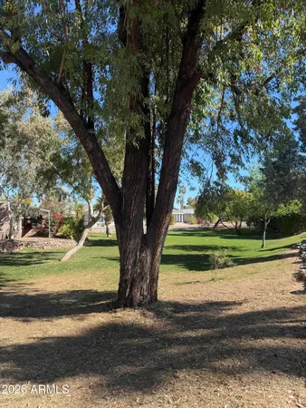 a view of a yard