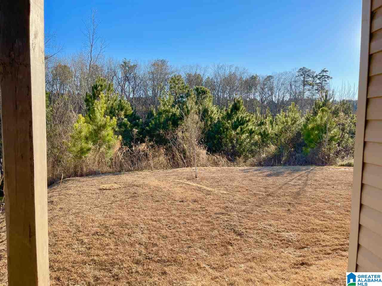 30 Village Springs Cove Springville, AL 35146 - Photo 11 of 25