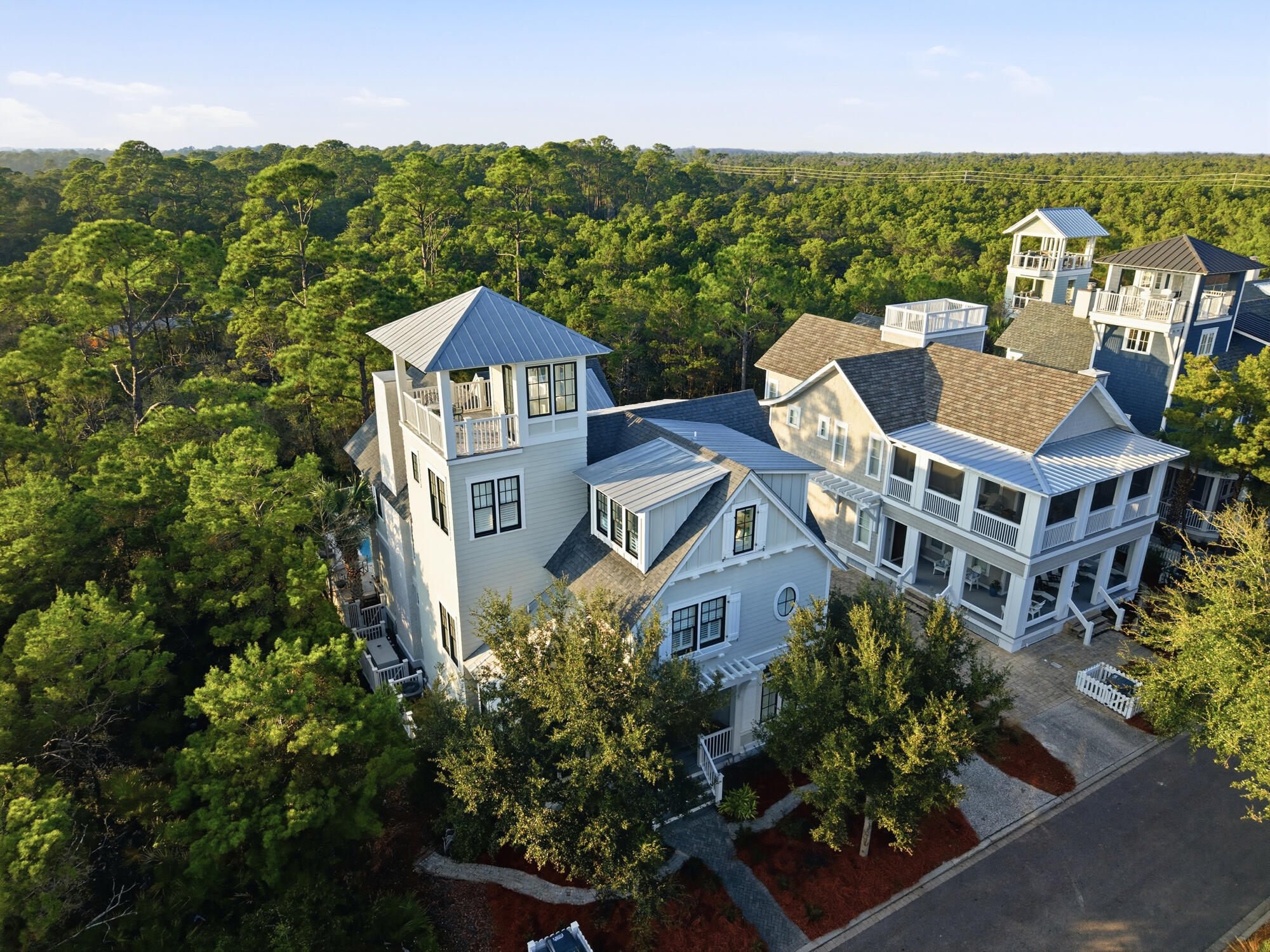 92 Coopersmith Lane Inlet Beach, FL 32461 - Photo 46 of 83 66_92 coopersmith ln drone - awp media -