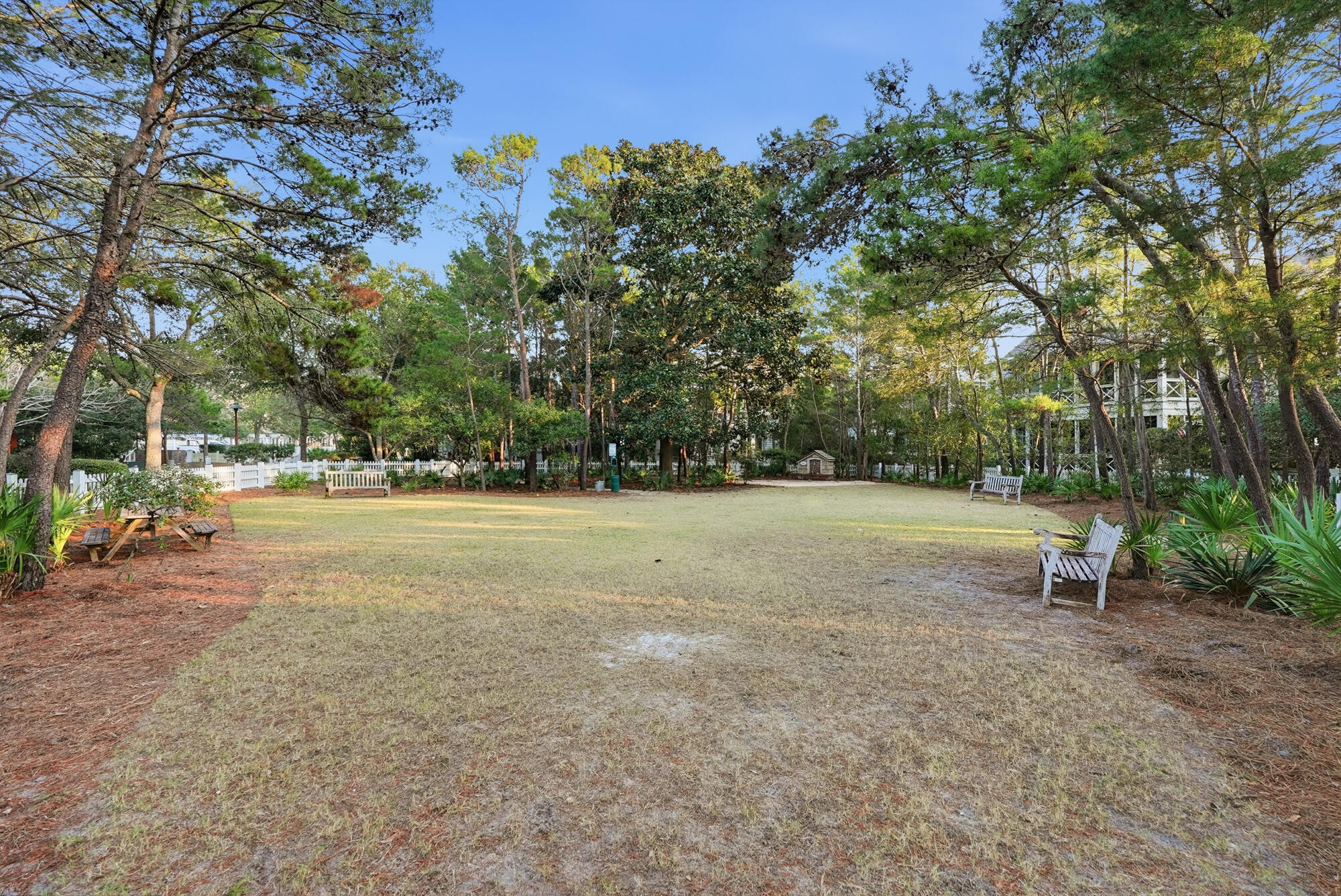 92 Coopersmith Lane Inlet Beach, FL 32461 - Photo 68 of 83 90_watersound dog park - awp media - 002