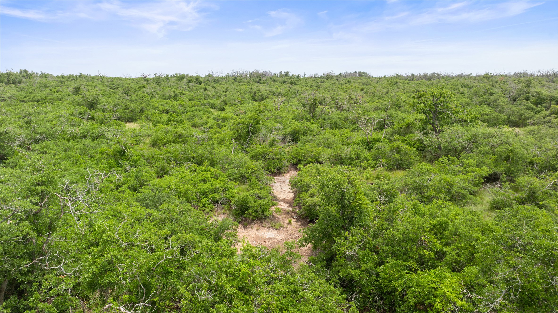 3049 Reservation Road Harper, TX 78631 - Photo 8 of 40 a view of a lush green forest