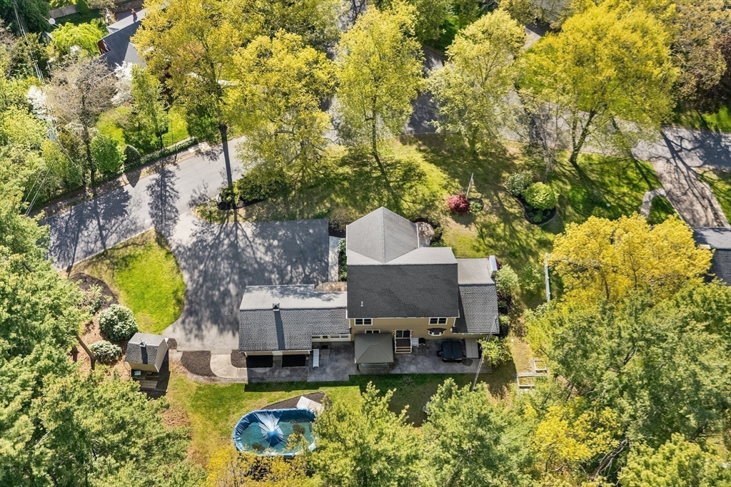 29 Pilgrim Way Walpole, MA 02032 - Photo 39 of 42
