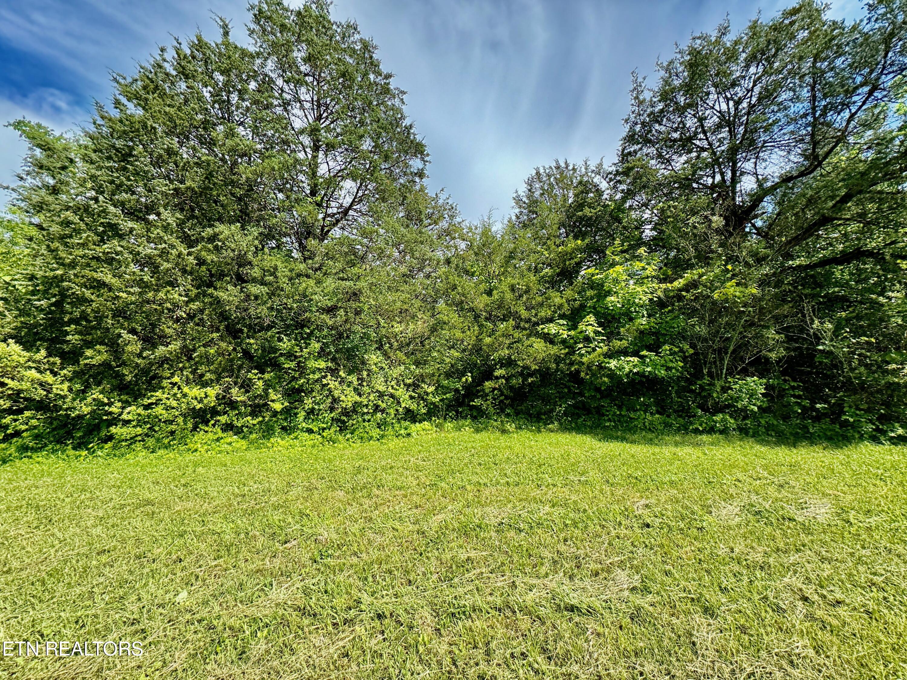 2 Tazewell Pike Corryton, TN 37721 - Photo 3 of 5 2-4