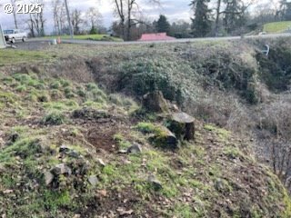 830 Wyeth St. Helens, OR 97051 - Photo 4 of 12