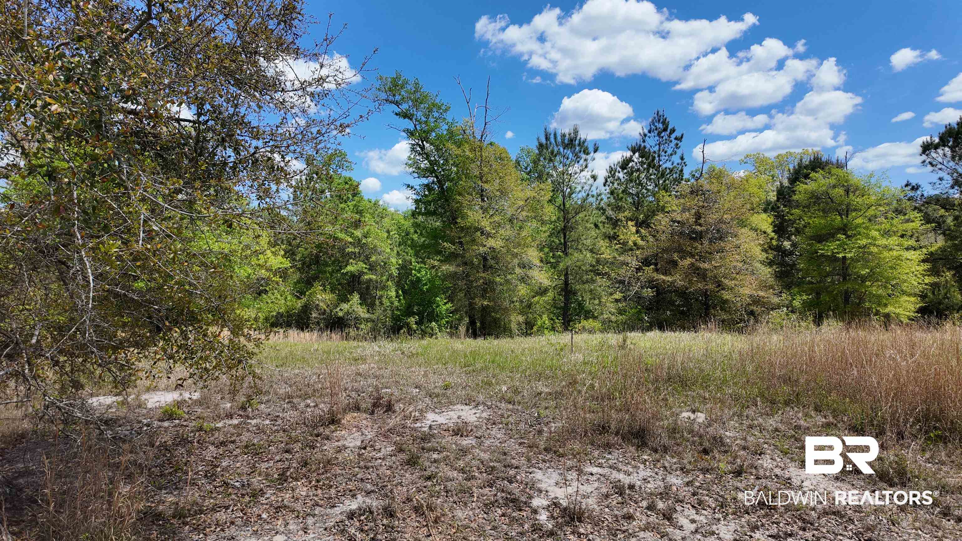 0 Powell Road Eight Mile, AL 36613 - Photo 32 of 57