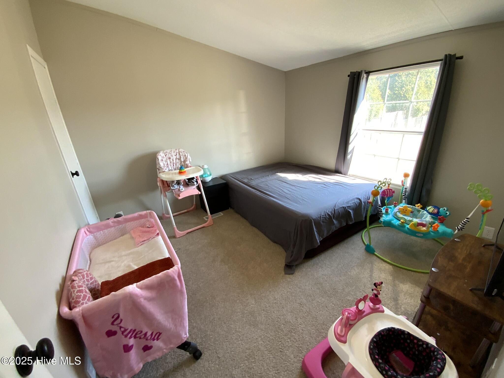 290 Ada Stroud Road Seven Springs, NC 28578 - Photo 14 of 22 12