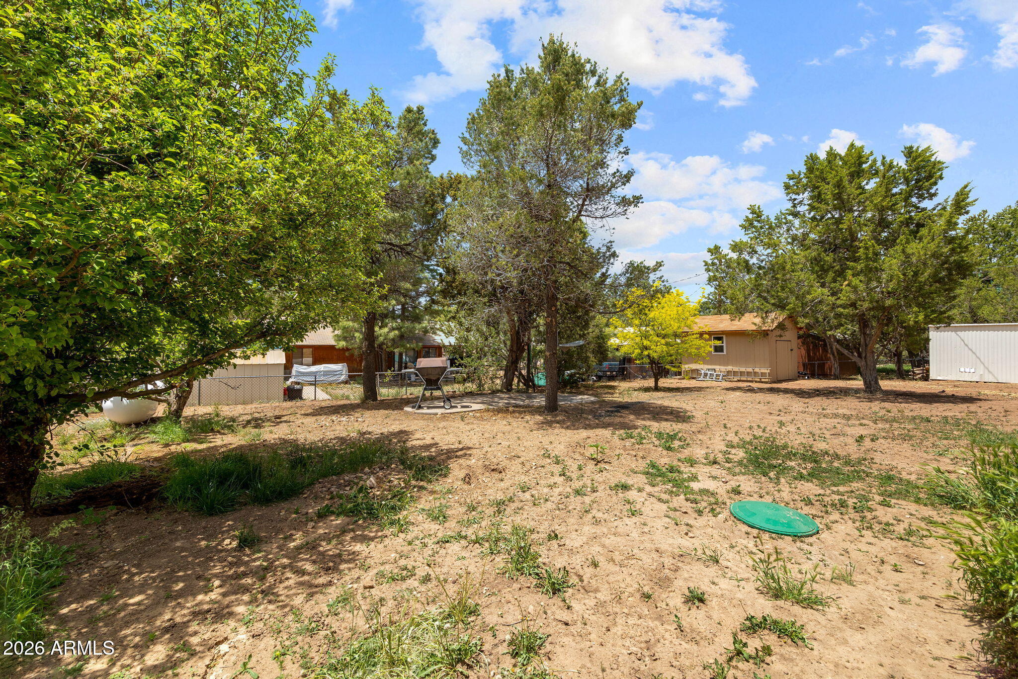 3384 Turkey Run Overgaard, AZ 85933 - Photo 30 of 37 a view of a yard with plants and trees