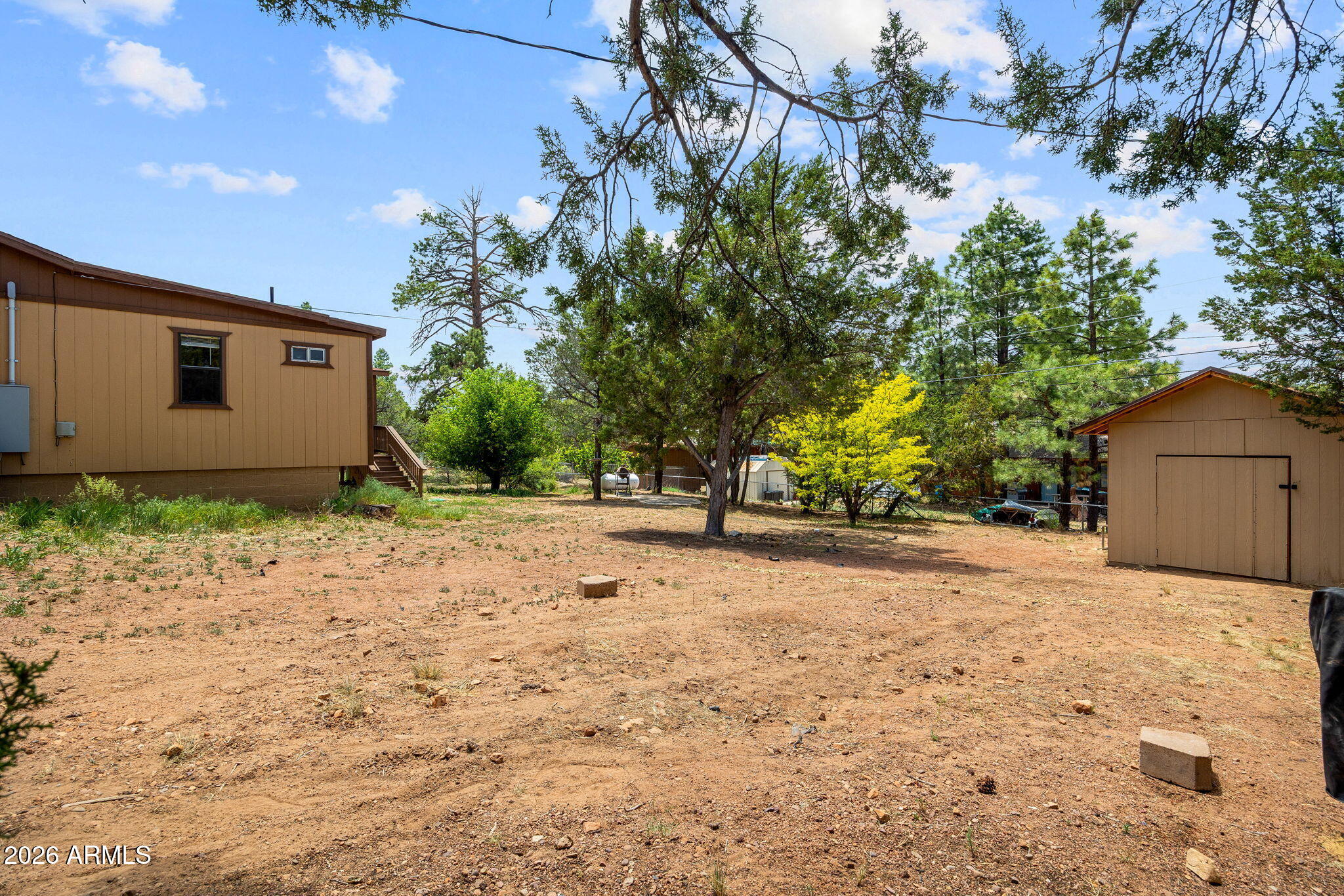 3384 Turkey Run Overgaard, AZ 85933 - Photo 31 of 37 a backyard of a house with plants and trees