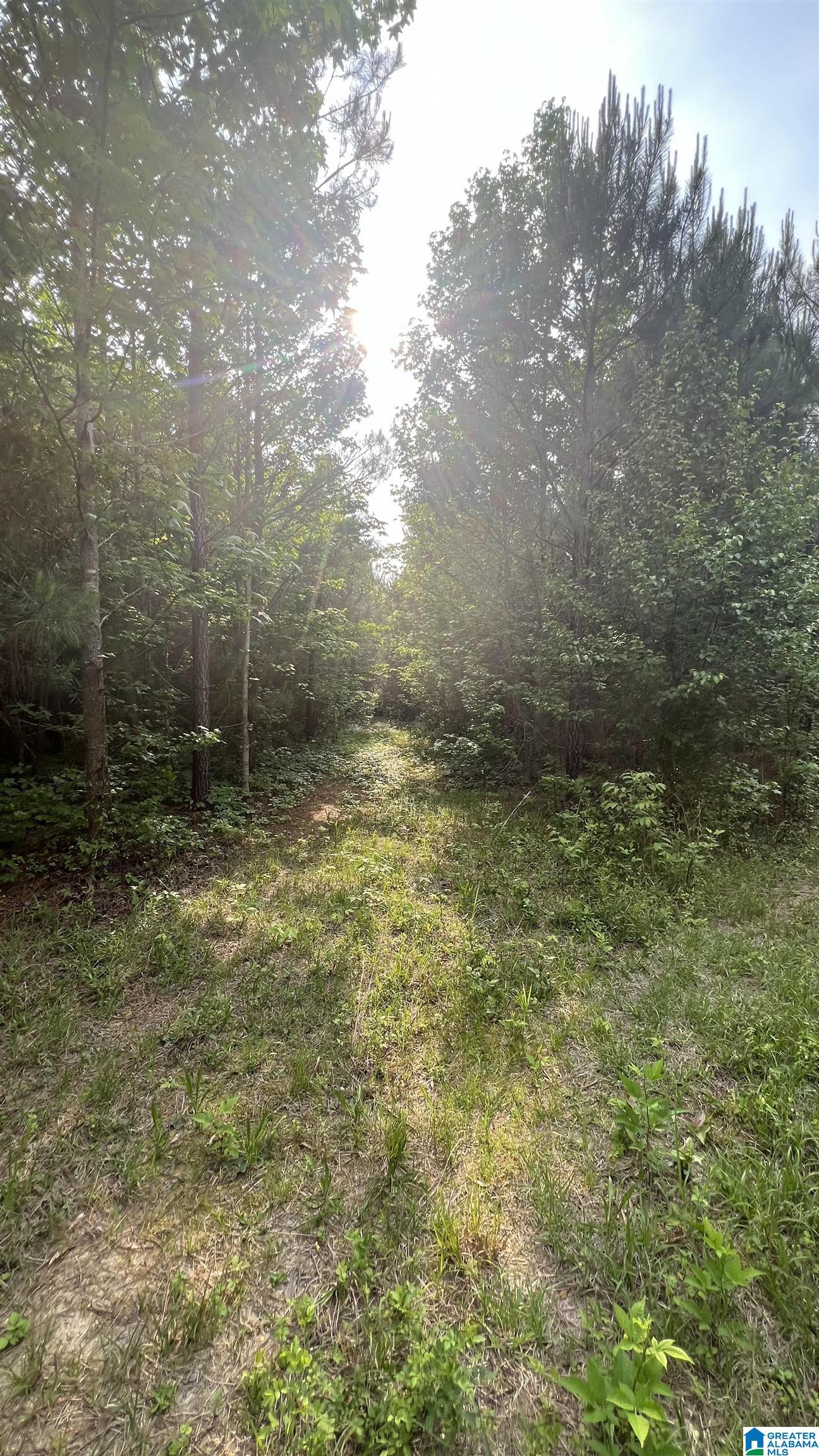 Lot 8 Woods Bend Road, Unit LOT 8 Ragland, AL 35131 - Photo 20 of 28