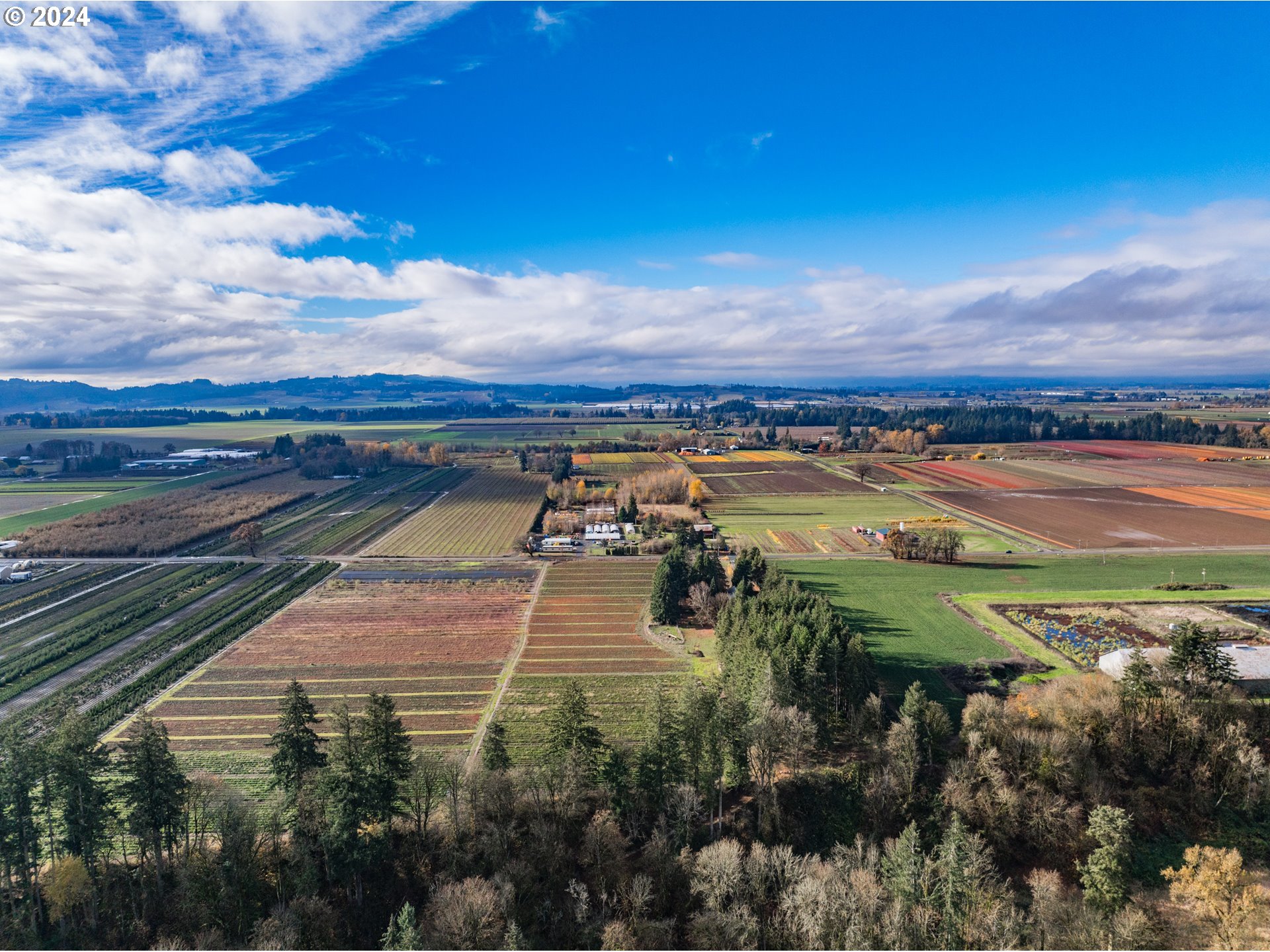 15005 Southeast Wallace Road Dayton, OR 97114 - Photo 1 of 43 Gallery Image 1