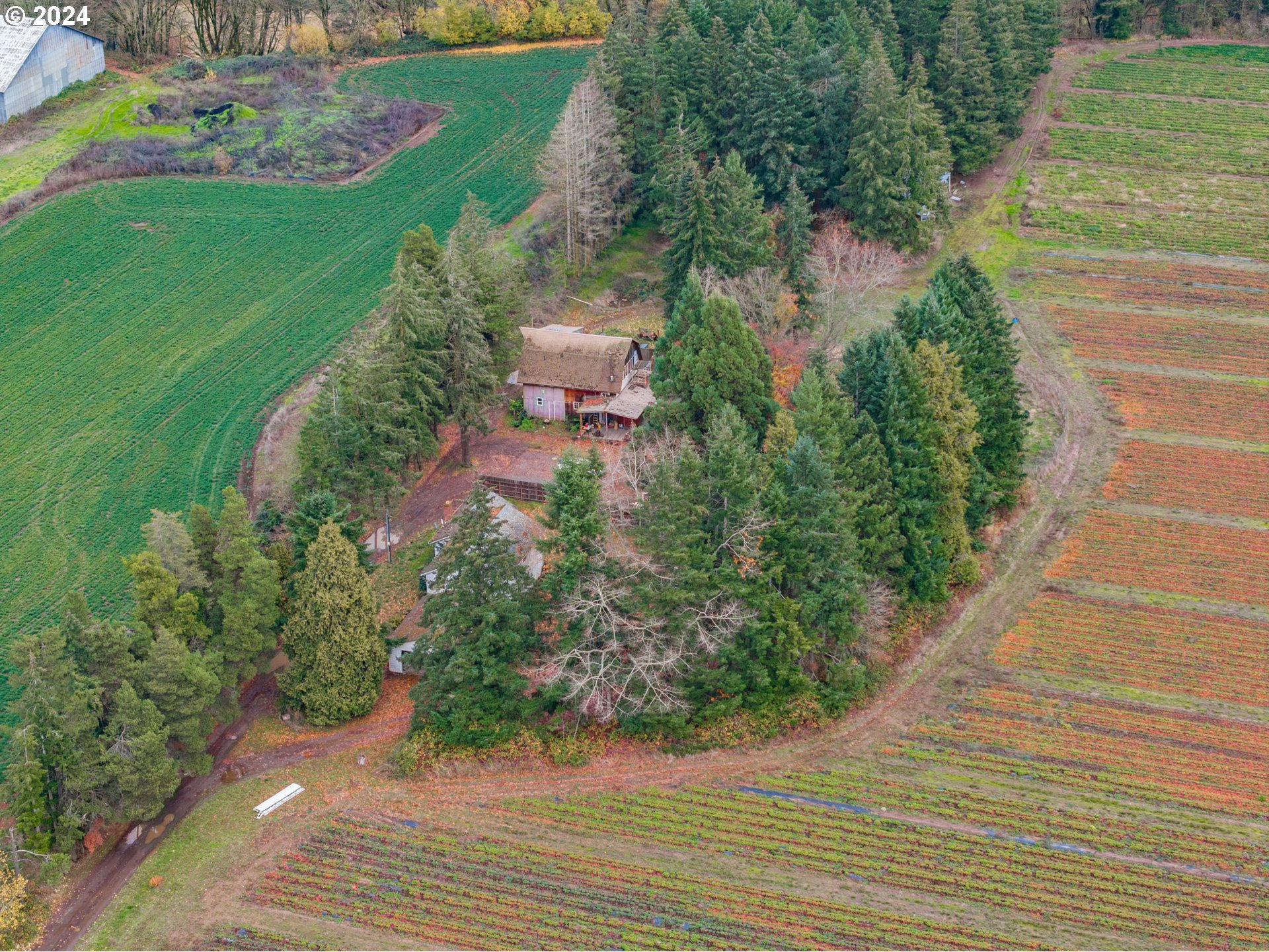 15005 Southeast Wallace Road Dayton, OR 97114 - Photo 25 of 43 Gallery Image 25