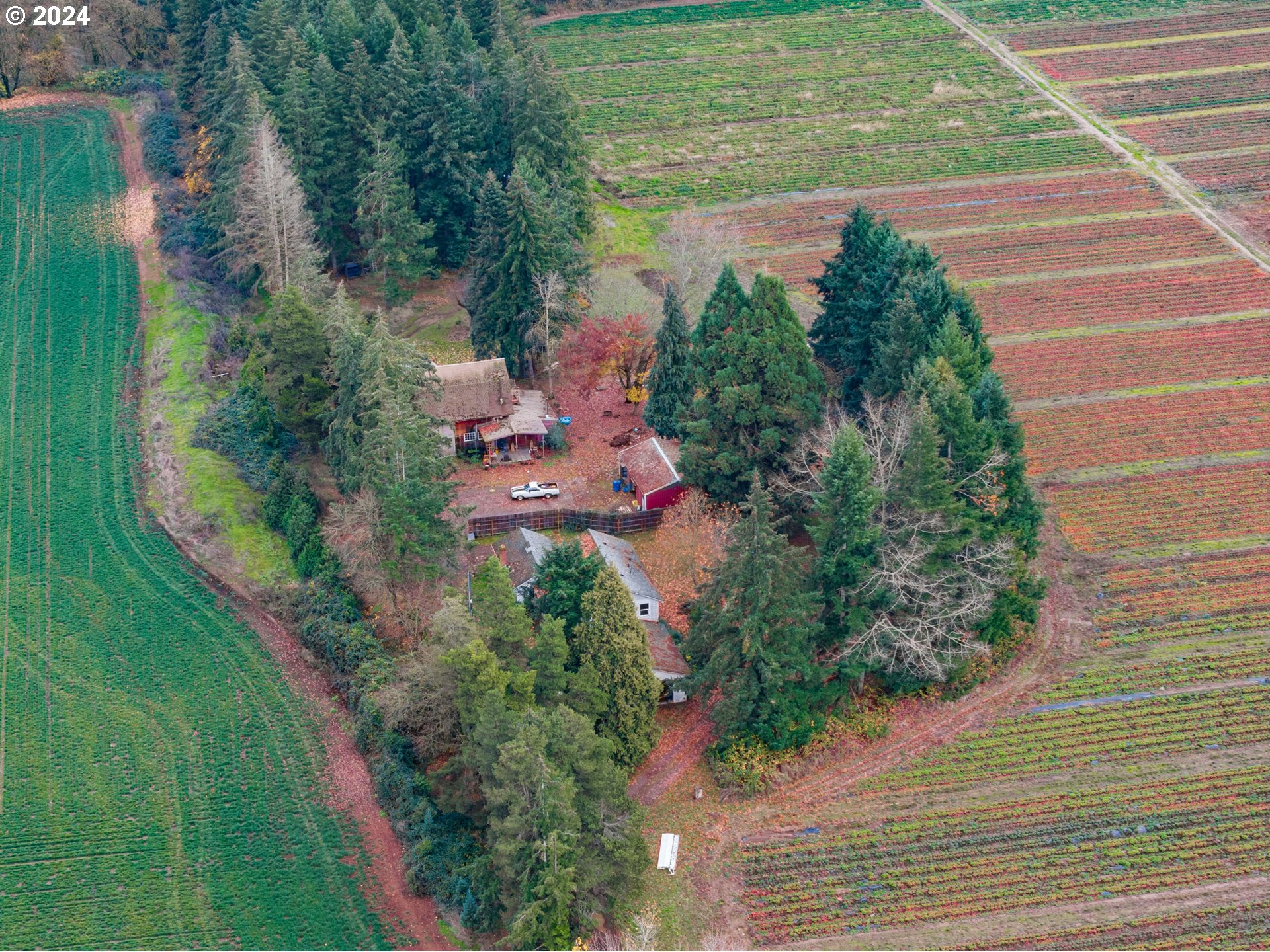 15005 Southeast Wallace Road Dayton, OR 97114 - Photo 7 of 43 Gallery Image 7