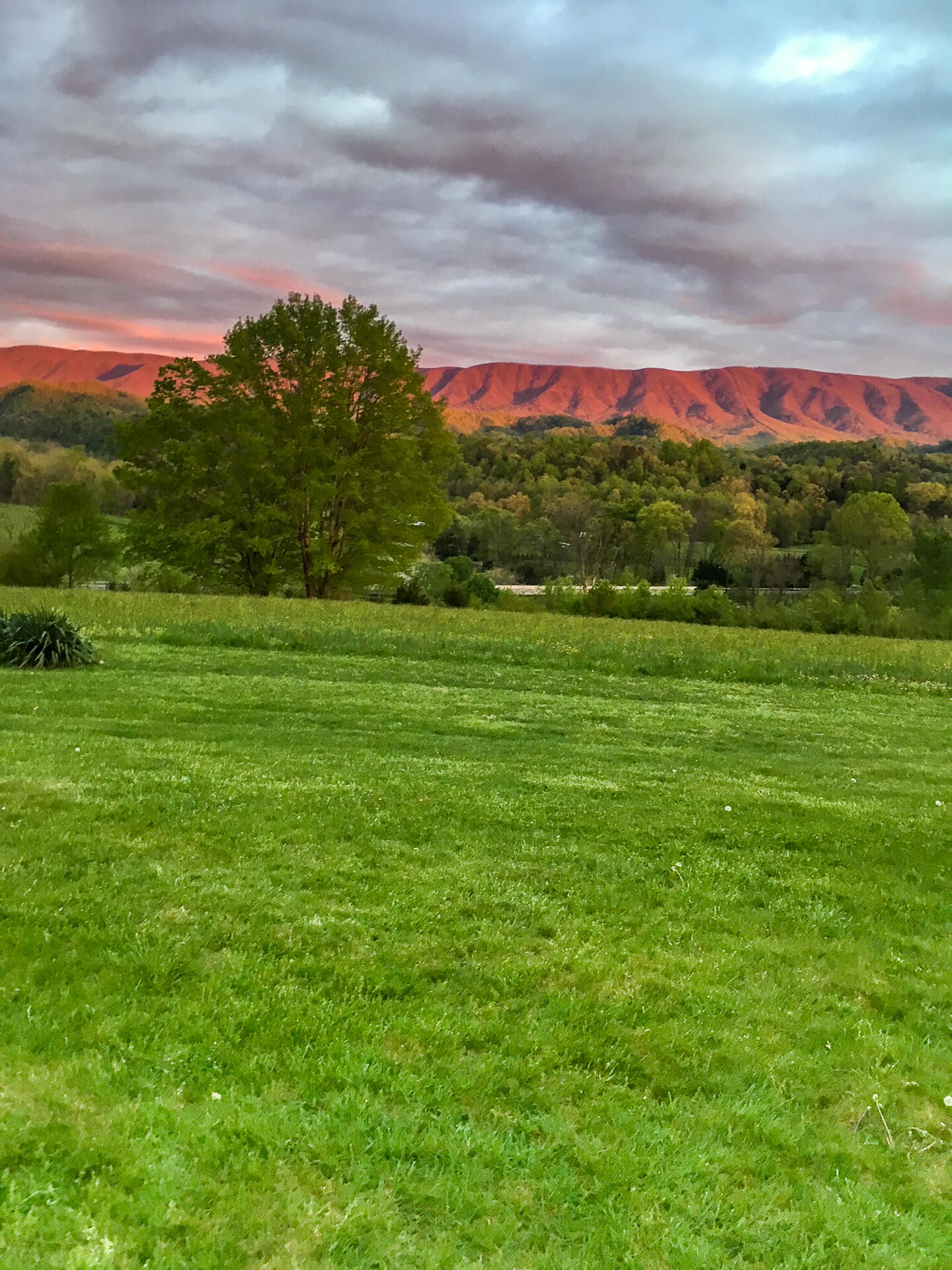 335 Green Road Bristol, TN 37620 - Photo 11 of 45 edits-9