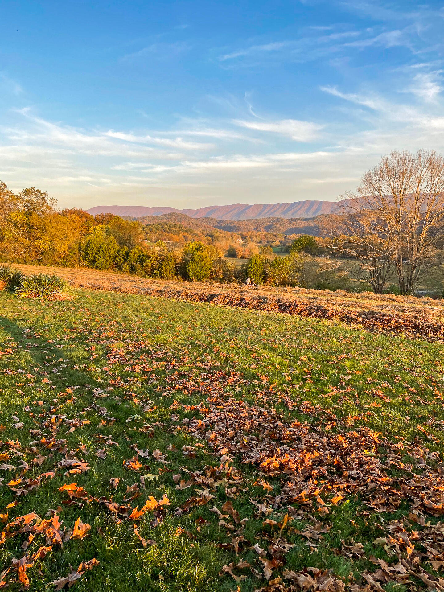 335 Green Road Bristol, TN 37620 - Photo 13 of 45 edits-12