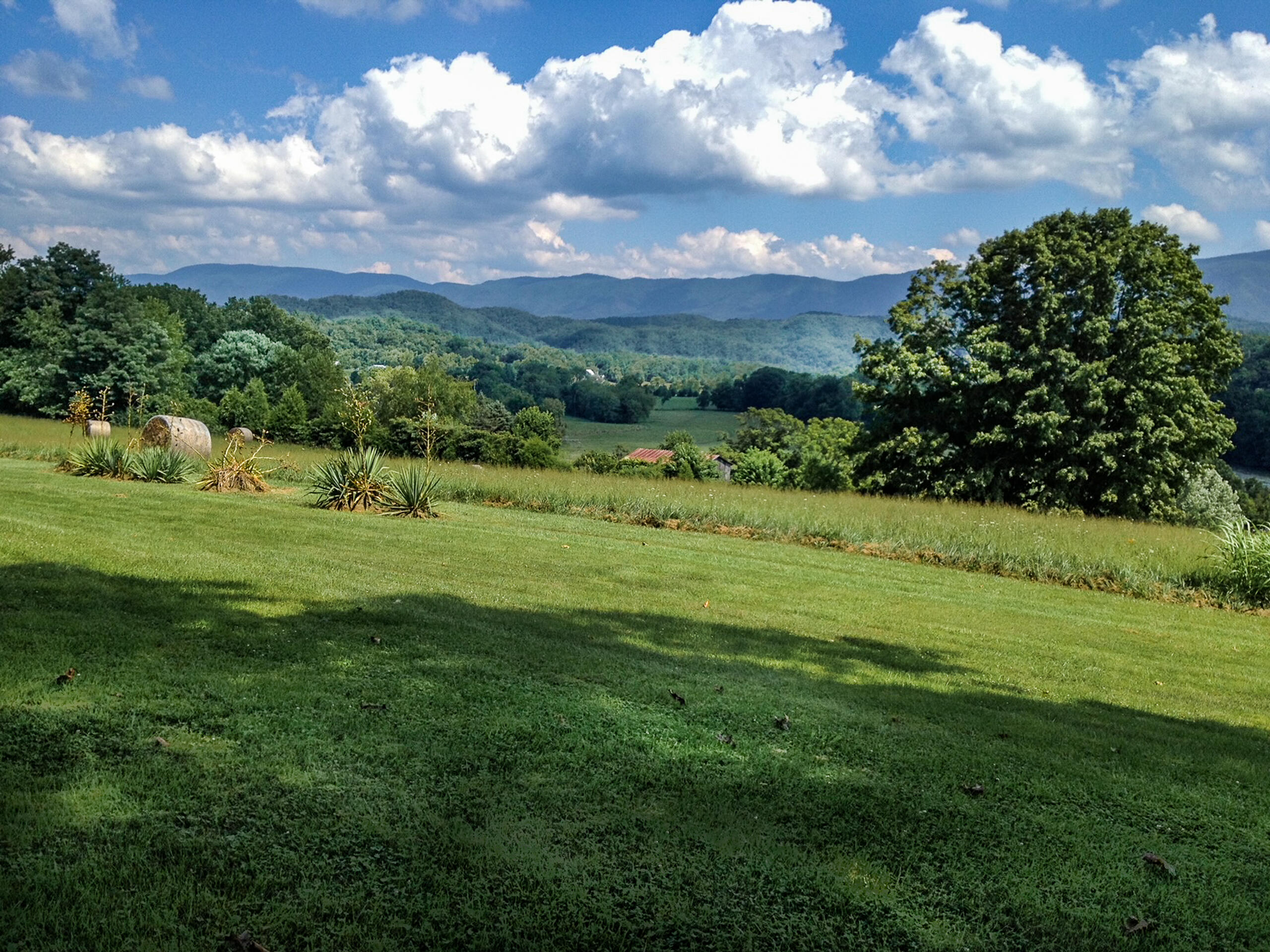 335 Green Road Bristol, TN 37620 - Photo 16 of 45 edits-1