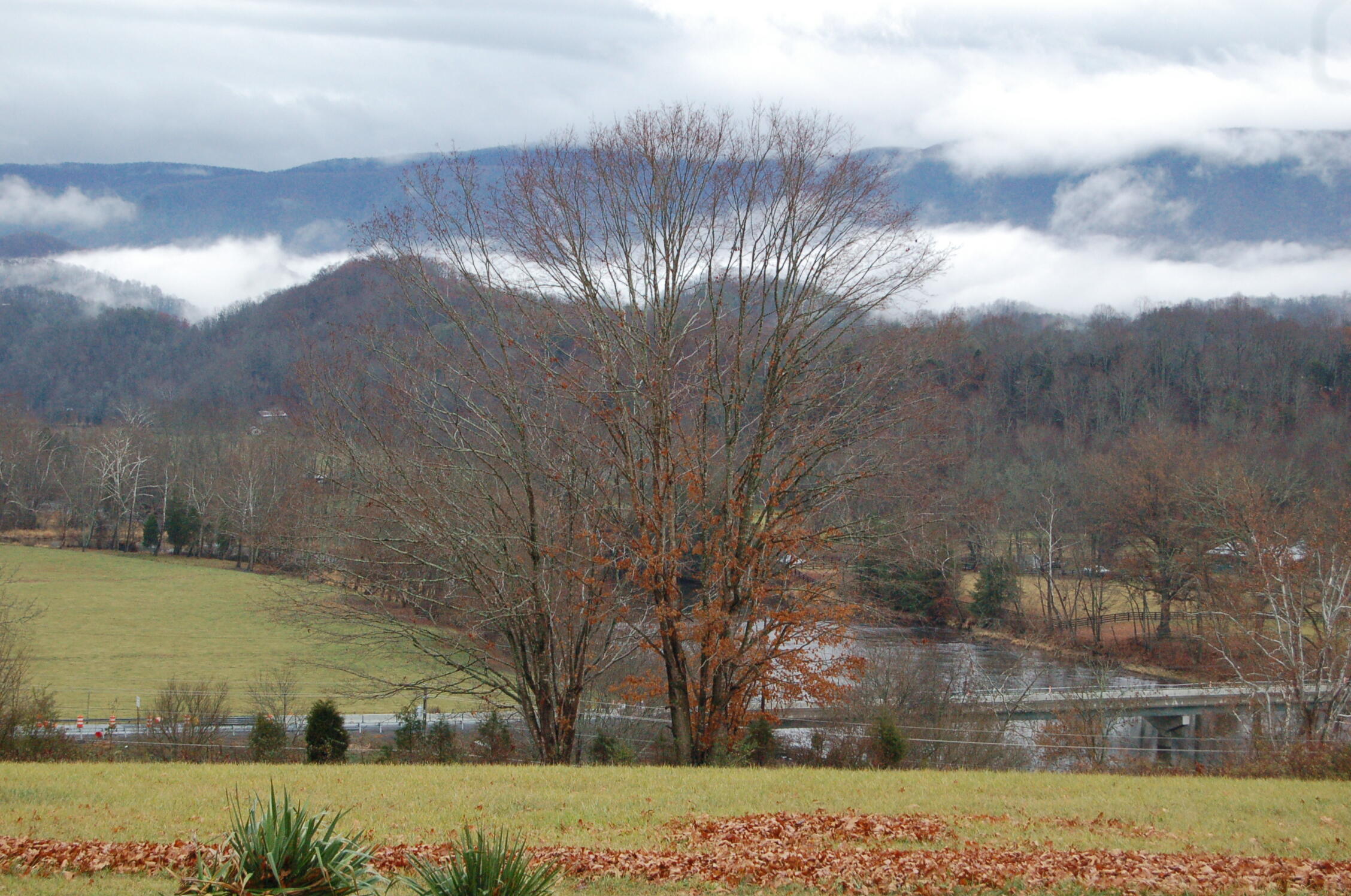 335 Green Road Bristol, TN 37620 - Photo 17 of 45 DSC_9503