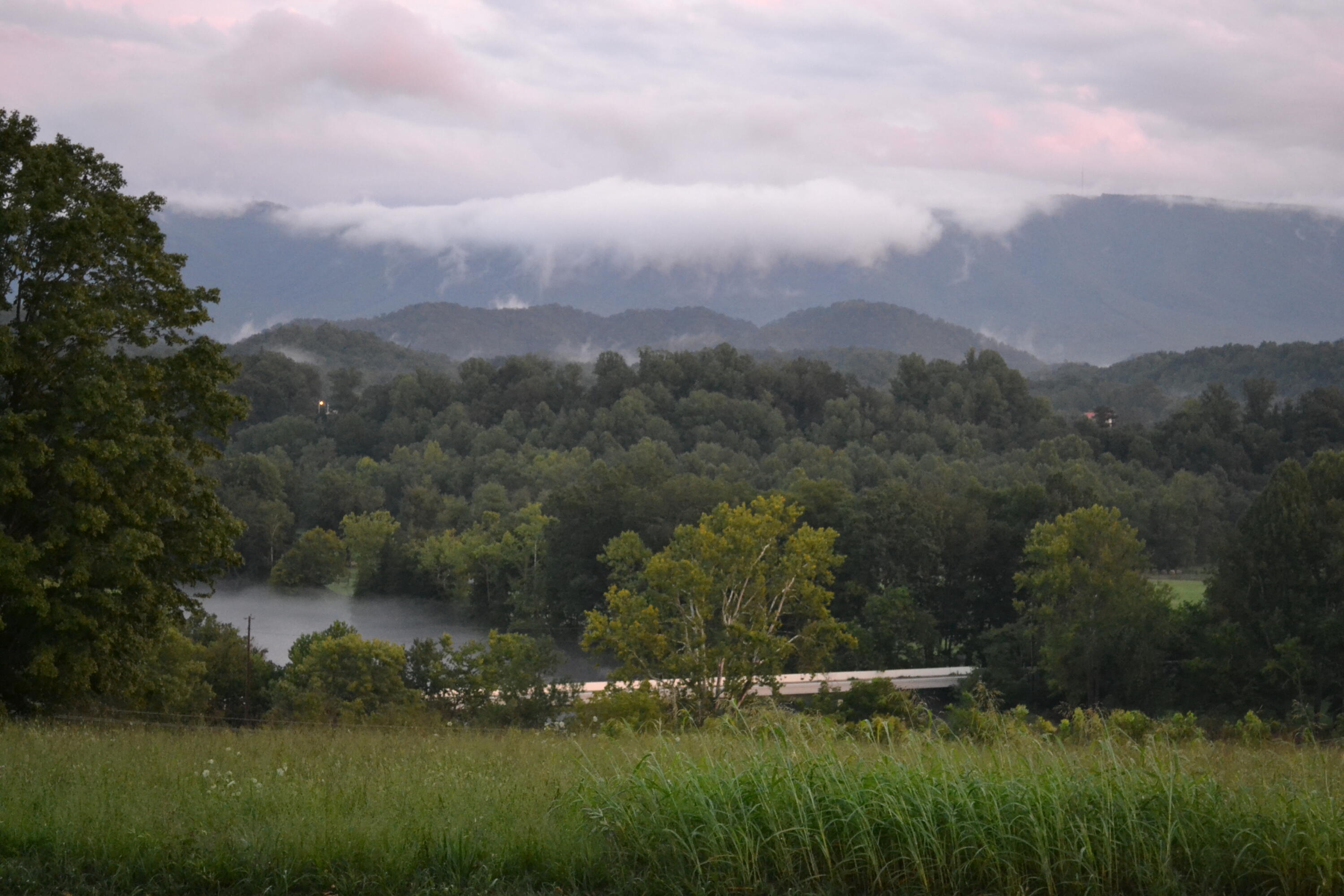 335 Green Road Bristol, TN 37620 - Photo 4 of 45 DSC_8515